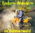 Enduro-Wandern




im Böhmerwald